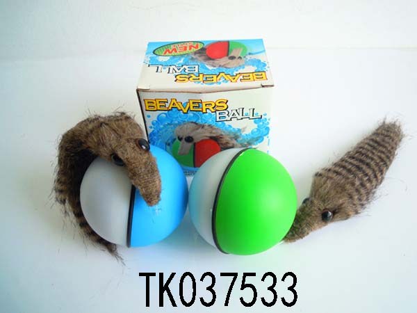 <img src='photo/2024/TK037533.jpg'width='400' height='300'>