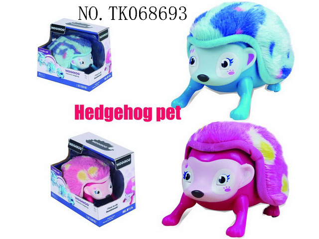 <img src='photo/2024/TK068693.jpg'width='400' height='300'>