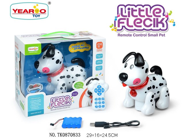 <img src='photo/2024/TK080833.jpg'width='400' height='300'>