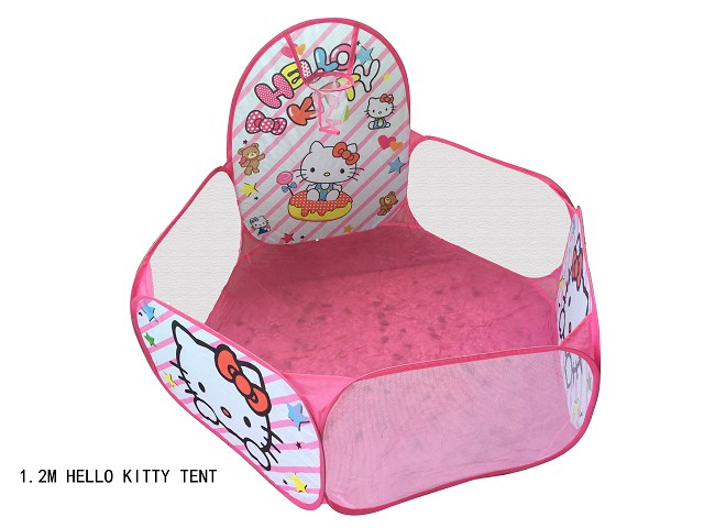 <img src='photo/2024/TK084118.jpg'width='400' height='300'>