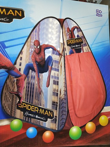 <img src='photo/2024/TK084182.jpg'width='400' height='300'>