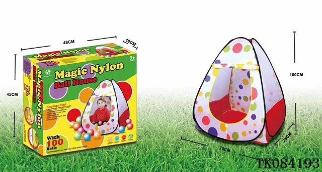 <img src='photo/2024/TK084193.jpg'width='400' height='300'>