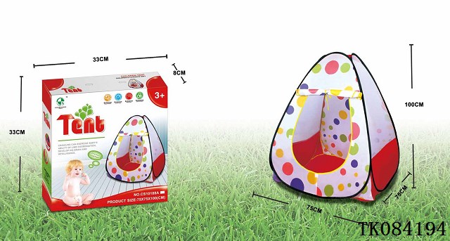 <img src='photo/2024/TK084194.jpg'width='400' height='300'>