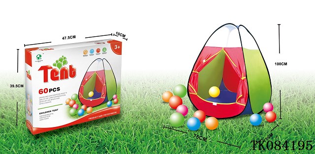 <img src='photo/2024/TK084195.jpg'width='400' height='300'>