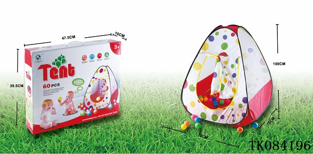 <img src='photo/2024/TK084196.jpg'width='400' height='300'>