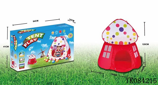 <img src='photo/2024/TK084215.jpg'width='400' height='300'>