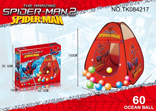 <img src='photo/2024/TK084217.jpg'width='400' height='300'>