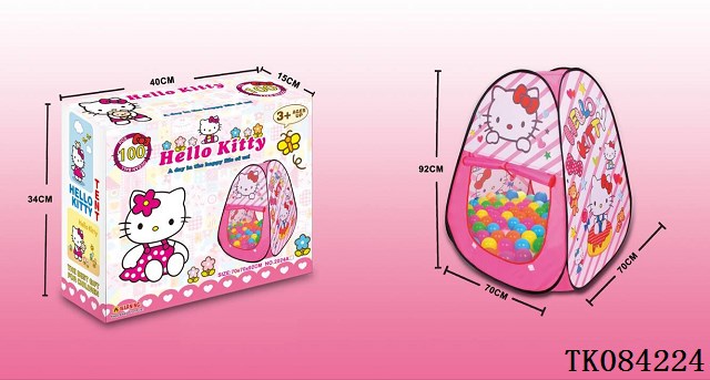 <img src='photo/2024/TK084224.jpg'width='400' height='300'>