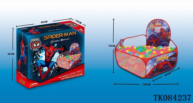 <img src='photo/2024/TK084237.jpg'width='400' height='300'>