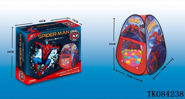 <img src='photo/2024/TK084238.jpg'width='400' height='300'>