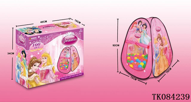 <img src='photo/2024/TK084239.jpg'width='400' height='300'>