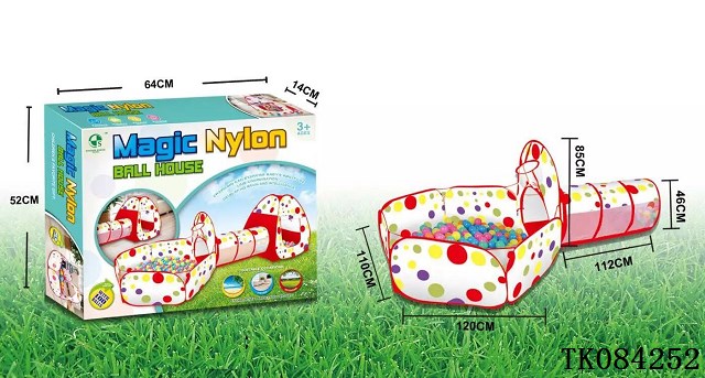 <img src='photo/2024/TK084252.jpg'width='400' height='300'>