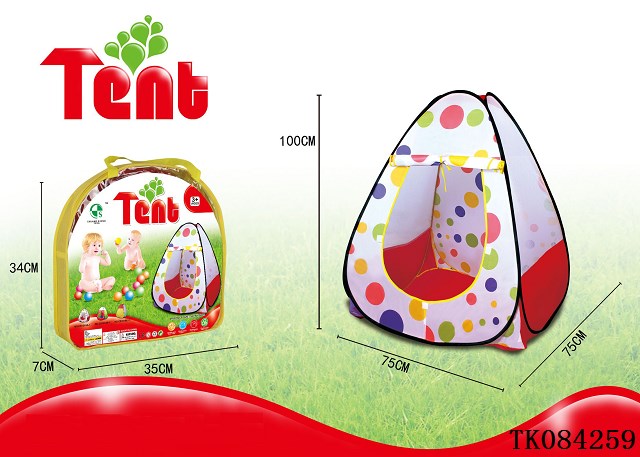 <img src='photo/2024/TK084259.jpg'width='400' height='300'>