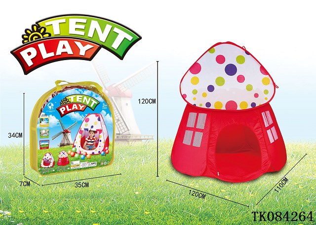 <img src='photo/2024/TK084264.jpg'width='400' height='300'>