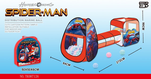 <img src='photo/2024/TK087126.jpg'width='400' height='300'>