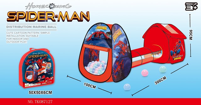 <img src='photo/2024/TK087127.jpg'width='400' height='300'>