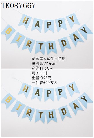 <img src='photo/2024/TK087667.jpg'width='400' height='300'>