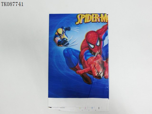 <img src='photo/2024/TK087741.jpg'width='400' height='300'>