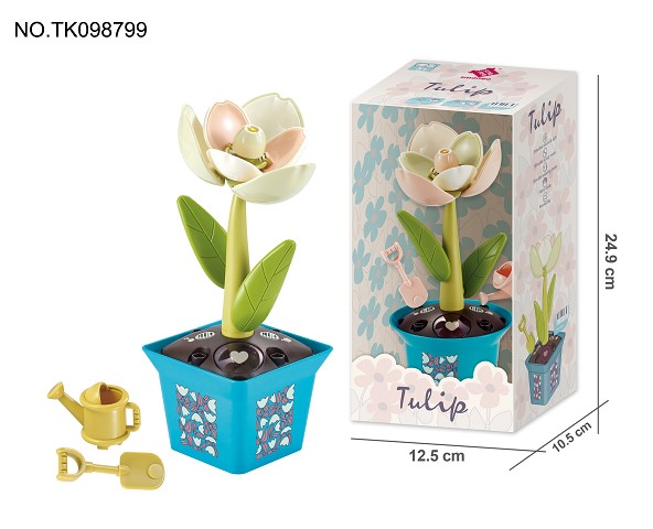 <img src='photo/2024/TK098799.jpg'width='400' height='300'>