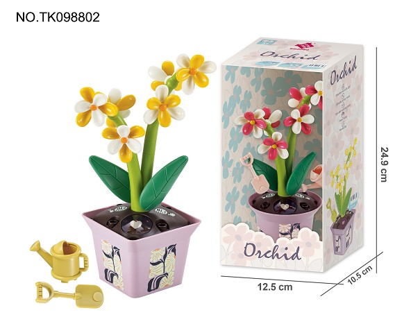 <img src='photo/2024/TK098802.jpg'width='400' height='300'>