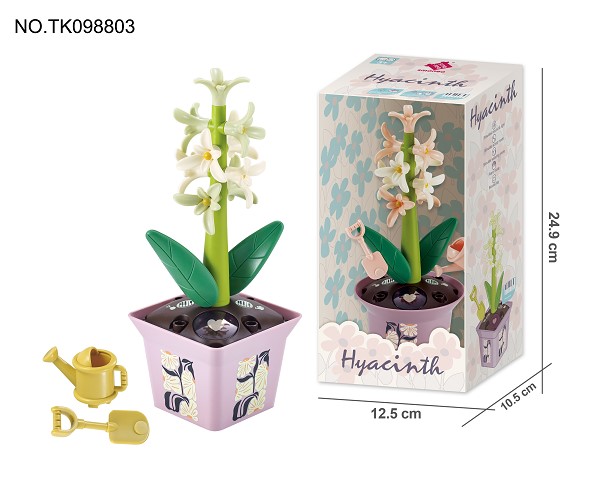 <img src='photo/2024/TK098803.jpg'width='400' height='300'>