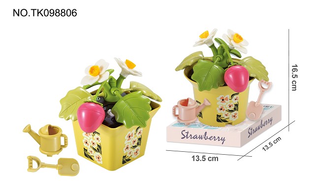 <img src='photo/2024/TK098806.jpg'width='400' height='300'>