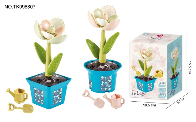 <img src='photo/2024/TK098807.jpg'width='400' height='300'>