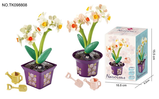 <img src='photo/2024/TK098808.jpg'width='400' height='300'>