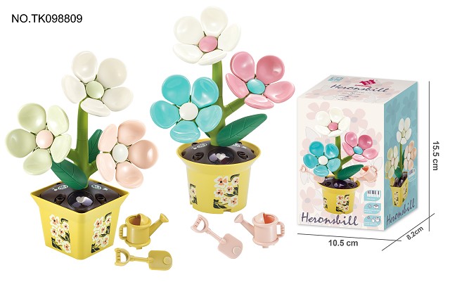 <img src='photo/2024/TK098809.jpg'width='400' height='300'>