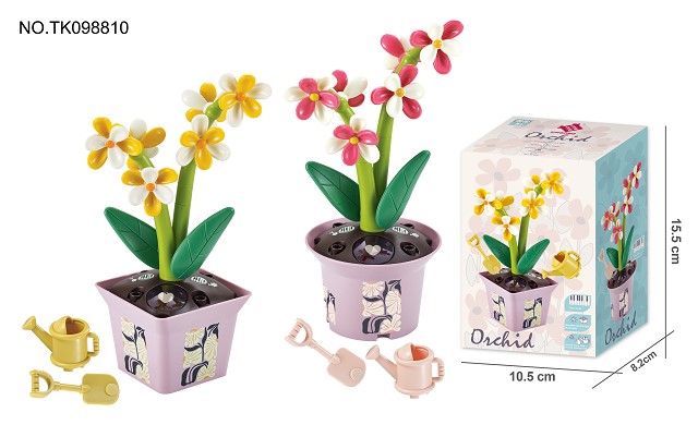 <img src='photo/2024/TK098810.jpg'width='400' height='300'>