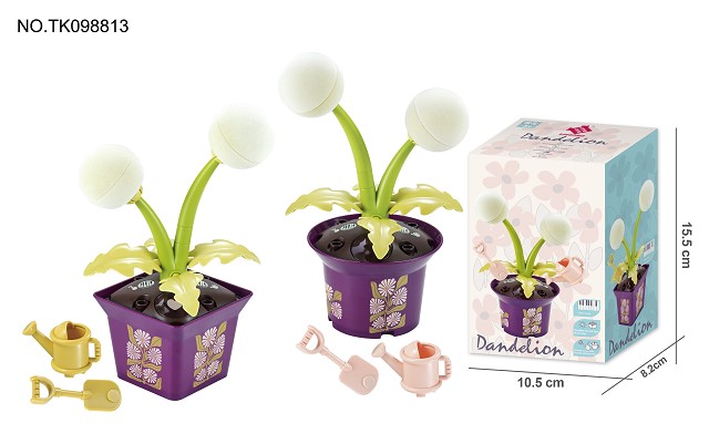 <img src='photo/2024/TK098813.jpg'width='400' height='300'>