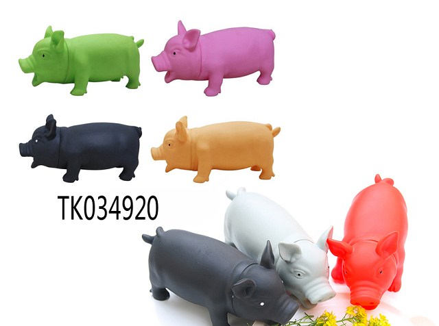 <img src='photo/2024/tk034920.jpg'width='400' height='300'>