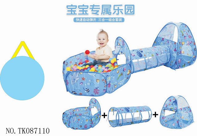 <img src='photo/2025/TK087110.jpg'width='400' height='300'>