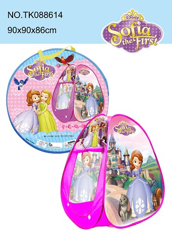 <img src='photo/2025/TK088614.jpg'width='400' height='300'>