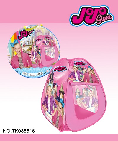 <img src='photo/2025/TK088616.jpg'width='400' height='300'>