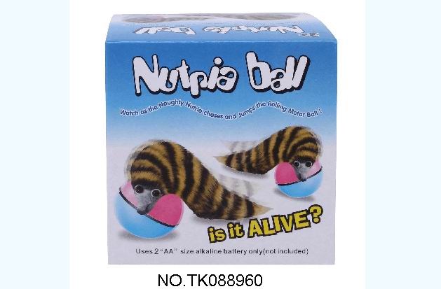 <img src='photo/2025/TK088960.jpg'width='400' height='300'>