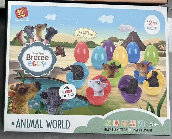 <img src='photo/2025/TK093091.jpg'width='400' height='300'>