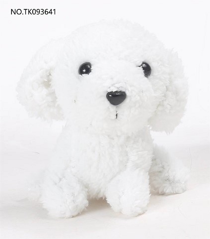 <img src='photo/2025/TK093641.jpg'width='400' height='300'>