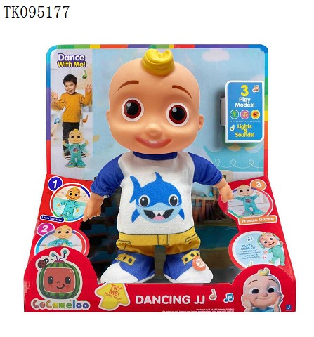 <img src='photo/2025/TK095177.jpg'width='400' height='300'>