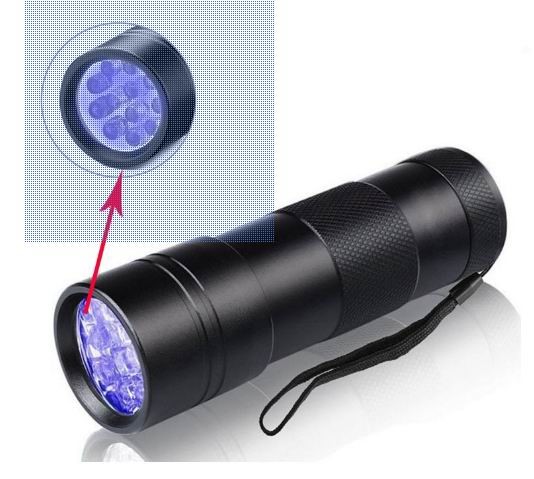 <img src='photo/2025/TK095713.jpg'width='400' height='300'>