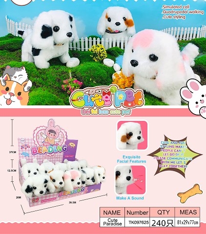 <img src='photo/2025/TK097625.jpg'width='400' height='300'>