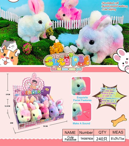 <img src='photo/2025/TK097634.jpg'width='400' height='300'>