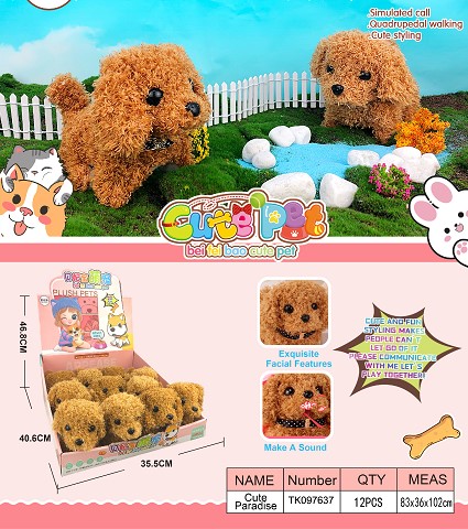 <img src='photo/2025/TK097637.jpg'width='400' height='300'>