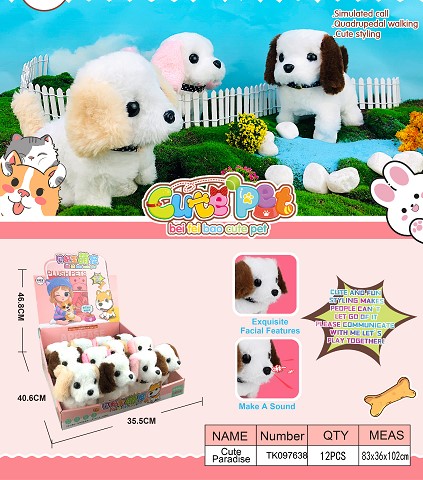 <img src='photo/2025/TK097638.jpg'width='400' height='300'>