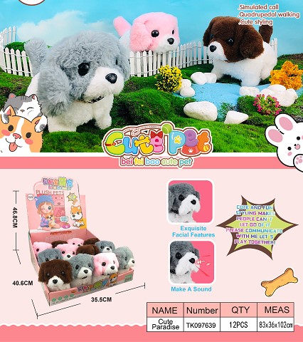 <img src='photo/2025/TK097639.jpg'width='400' height='300'>