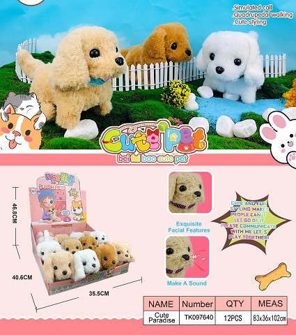 <img src='photo/2025/TK097640.jpg'width='400' height='300'>