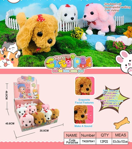 <img src='photo/2025/TK097641.jpg'width='400' height='300'>