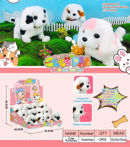 <img src='photo/2025/TK097642.jpg'width='400' height='300'>