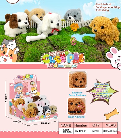 <img src='photo/2025/TK097645.jpg'width='400' height='300'>