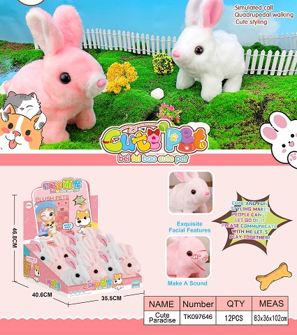 <img src='photo/2025/TK097646.jpg'width='400' height='300'>